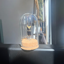 Load image into Gallery viewer, Large Insect Dome
