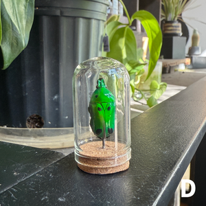 Mini Insect Dome