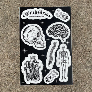 Anatomical Sticker Sheet