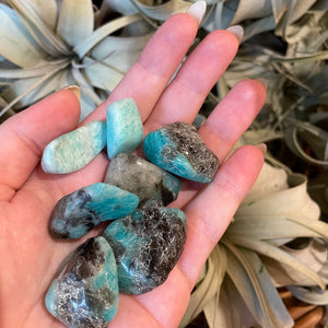 Amazonite - Tumbled