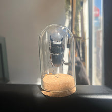 Load image into Gallery viewer, Large Insect Dome
