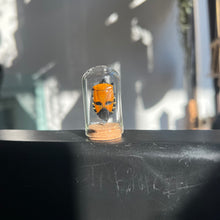 Load image into Gallery viewer, Mini Insect Dome