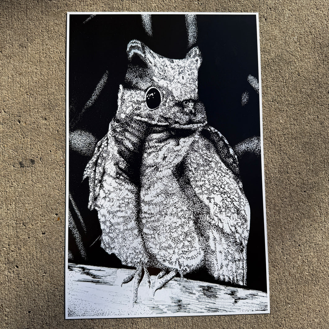 Nightjar Bird Micron Print