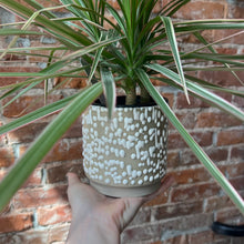 Load image into Gallery viewer, 4” Gloopy Planter - White