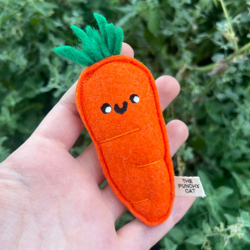 Catnip Carrot Toy