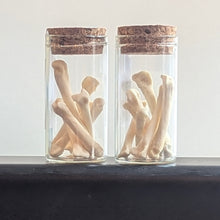 Load image into Gallery viewer, Otter Bones - Small Vial