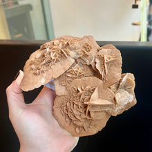 Load image into Gallery viewer, Barite Selenite Rose Formation