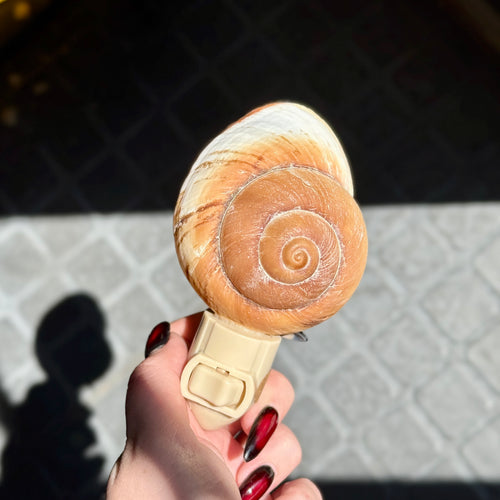 Snail Shell Night Light