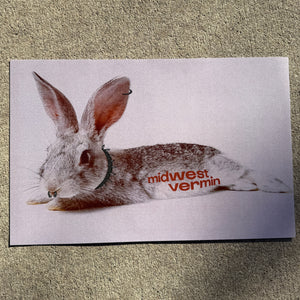 Midwest Vermin Punk Bunny Print