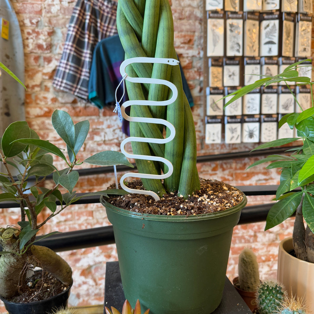 Steel Serpent Garden Plant Support Stake