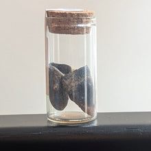 Load image into Gallery viewer, Deer Bones - Small Vial