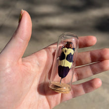 Load image into Gallery viewer, Medium Insect Dome