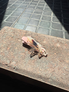 Lice Hair Clip