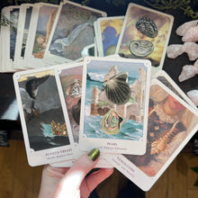 Load image into Gallery viewer, The Seashell Oracle Deck