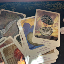 Load image into Gallery viewer, The Seashell Oracle Deck