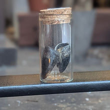 Load image into Gallery viewer, Deer Bones - Small Vial