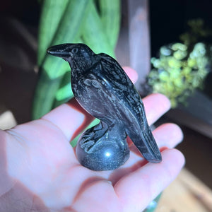 Black Obsidian Carved Raven