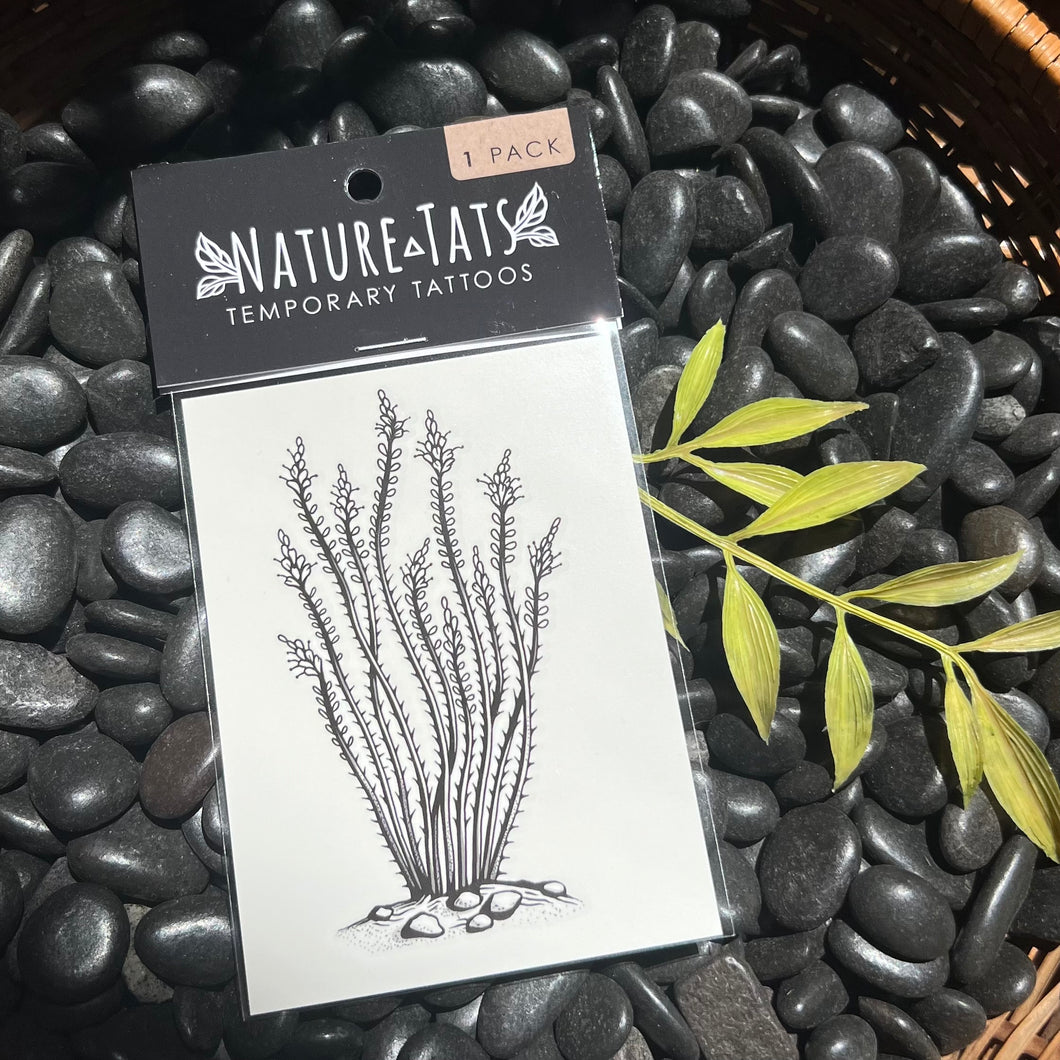 Ocotillo Temporary Tattoo