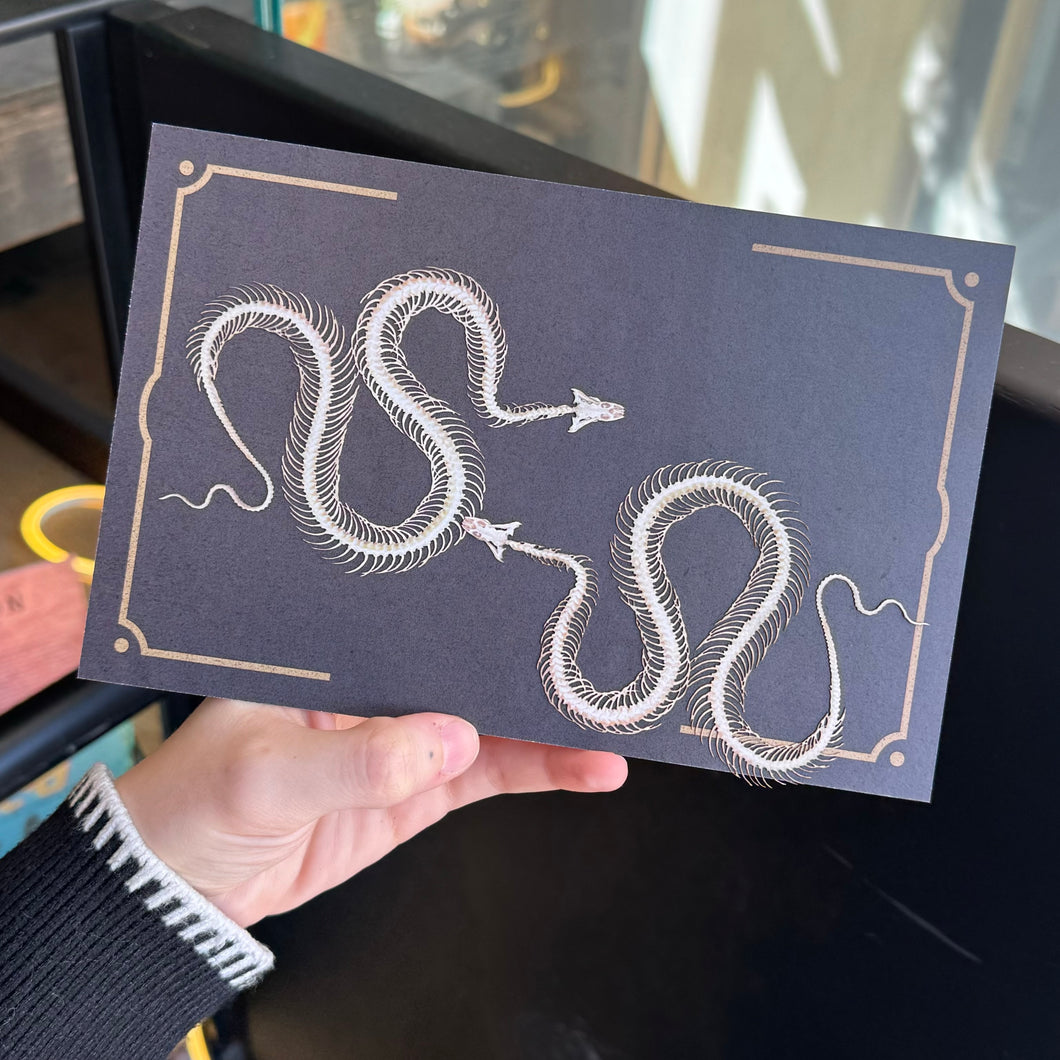 Mini Snakes Skeleton Paper Replica Set