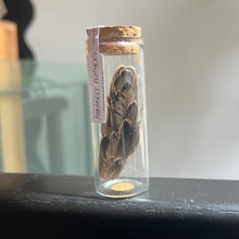 Load image into Gallery viewer, Parakeet Feathers - Small Vial