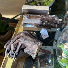 Load image into Gallery viewer, Beaver Back Paw