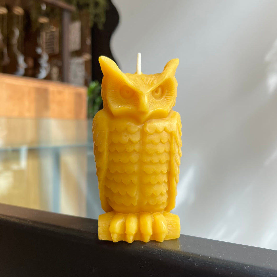 Wise Owl Beeswax Candle