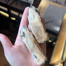Load image into Gallery viewer, Coyote Paw