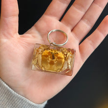 Load image into Gallery viewer, Bug Specimen Keychain (assorted)
