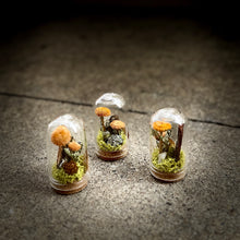 Load image into Gallery viewer, Meadow Fields Glass Terrarium