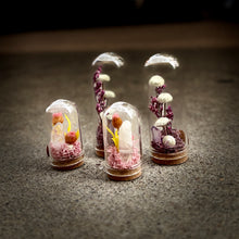 Load image into Gallery viewer, Crystal Fairy Garden Glass Terrarium