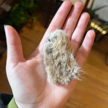 Load image into Gallery viewer, Bobcat Paw