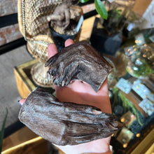Load image into Gallery viewer, Beaver Back Paw