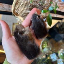 Load image into Gallery viewer, Fox Paw