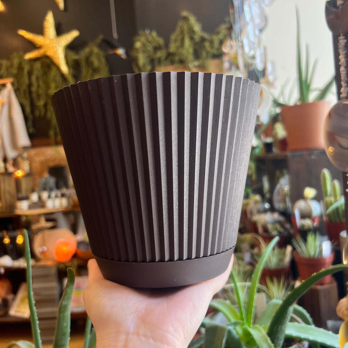Ruffled Planter Pot - Chocolate 6” – Heim Iowa City