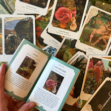 Load image into Gallery viewer, The Garden Oracle Deck