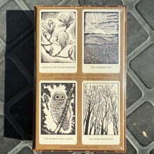 Load image into Gallery viewer, The Earth Speaks Oracle Deck