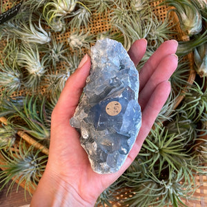 Celestite Raw Chunk