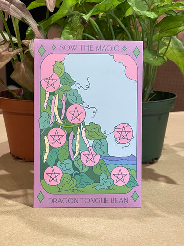 Dragon Tongue Bush Bean Seed Packet
