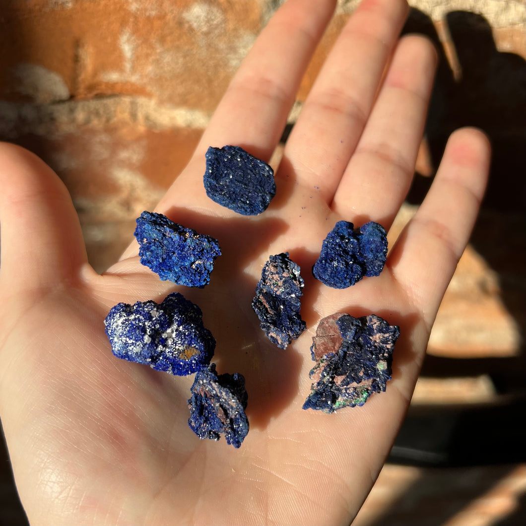 Azurite Blueberries