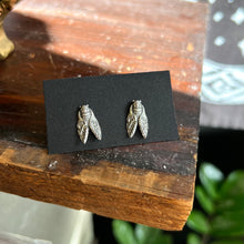 Load image into Gallery viewer, Cicada Earrings - Sterling Silver