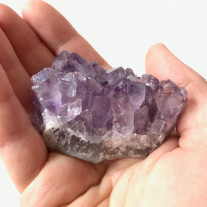 Amethyst Clusters