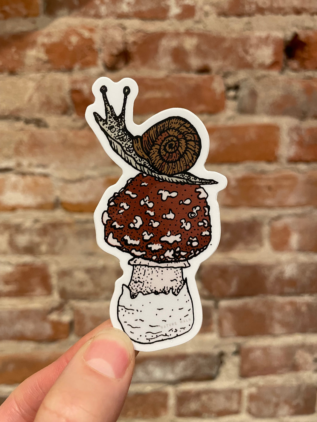 Snail on Amanita Mushroom Sticker