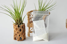 Load image into Gallery viewer, Air Plant Fertilizer