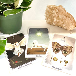 Anima Mundi Tarot Deck