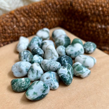 Load image into Gallery viewer, Tree Agate - Tumbled