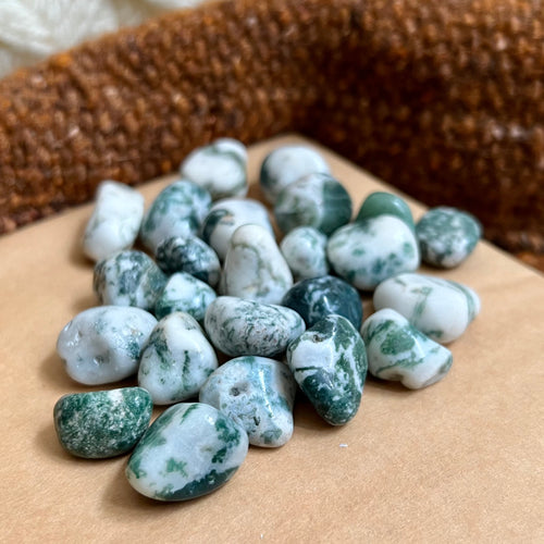 Tree Agate - Tumbled